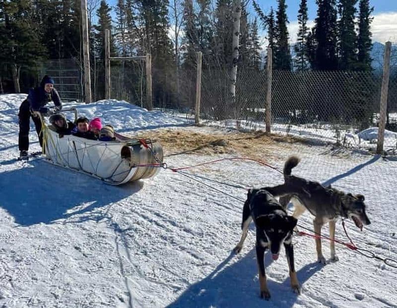 Billet Visite d'une journée à Whitehorse : traîneau à chiens et culture