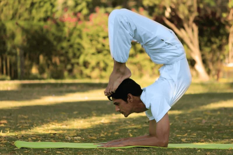 Jaipur : expérience traditionnelle du yoga indien