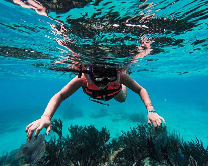 Billet Tulum : Plongée en apnée à Paradise Reef