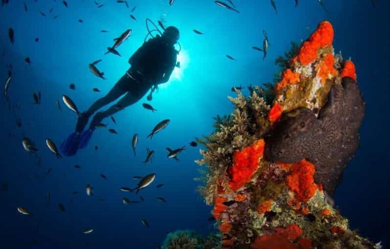 Plongée sous-marine pour débutants dans la mer cristalline de Chalcidique
