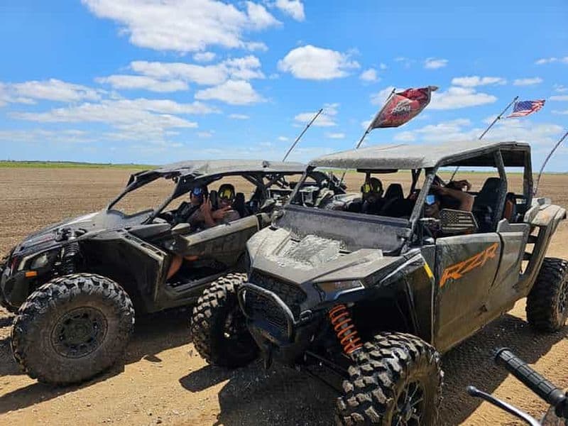 L'aventure ultime en buggy à Miami sur un UTV Polaris RZR