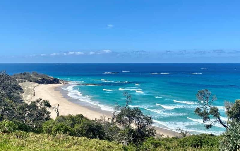 Billet Depuis Brisbane : Aventure de la faune et de la flore de l'île de Stradbroke Nord