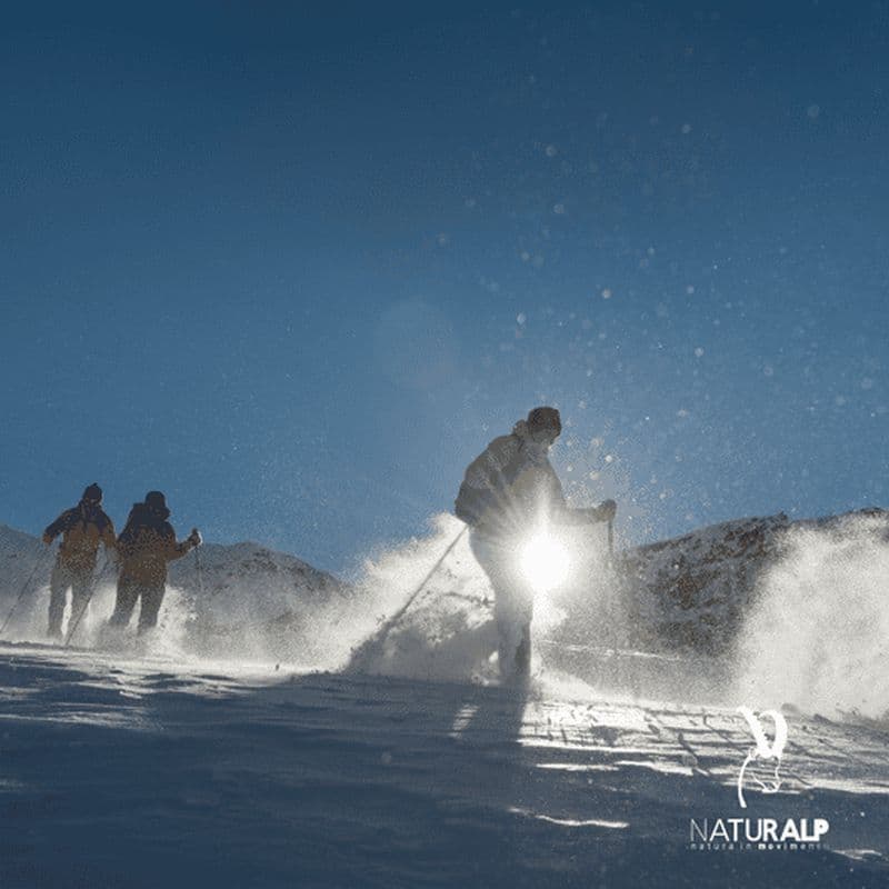 Randonnée en raquettes dans le parc national du Grand Paradis