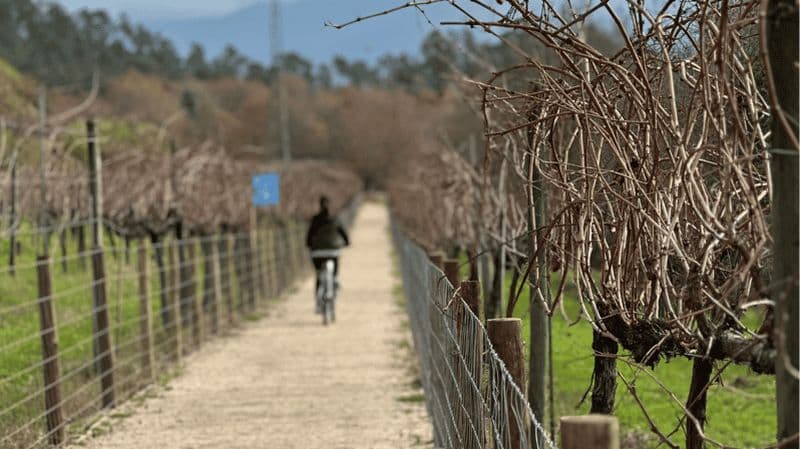 Excursion à vélo avec guide local (Arcos de Valdevez ou parc national)
