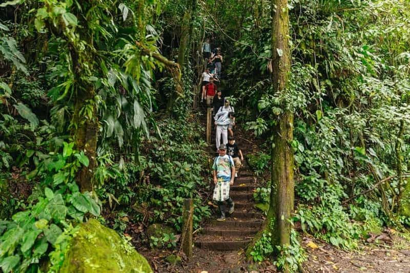 Billet La Fortuna : Circuit des chutes d'eau, du volcan Arenal et des sources d'eau chaude