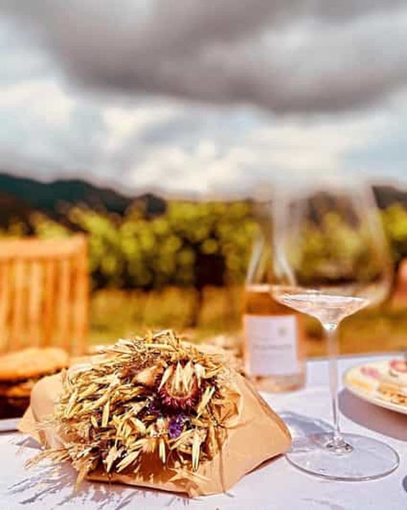 Dégustation de vin autour de l'Île-Rousse et de Calvi avec transfert