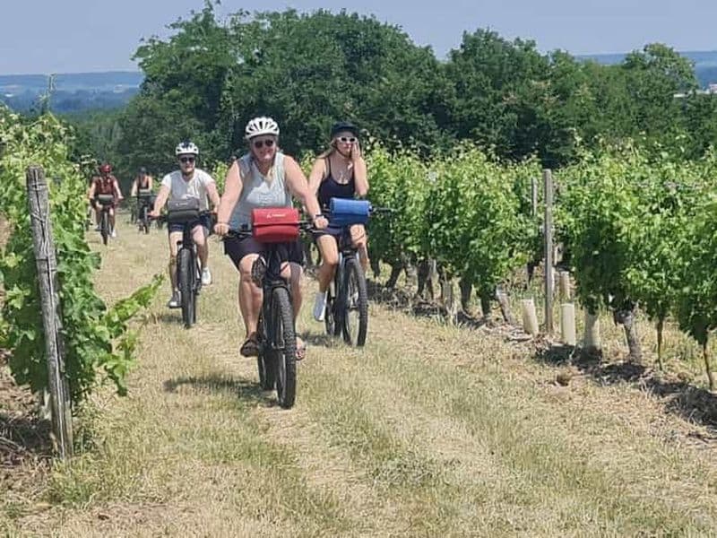Châteaux de la Loire : Circuit cycliste de 2 jours avec dégustation de vins