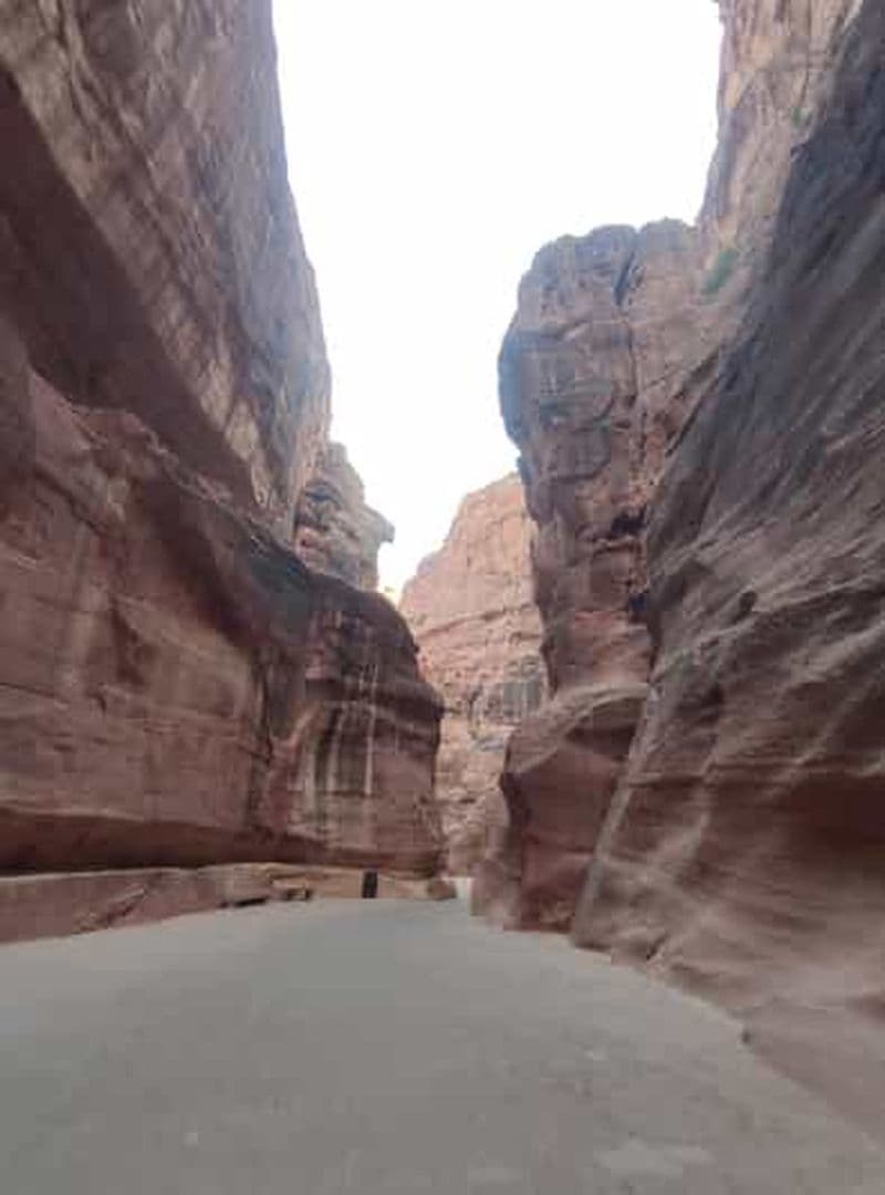 Billet Visite guidée de Pétra avec un guide agréé