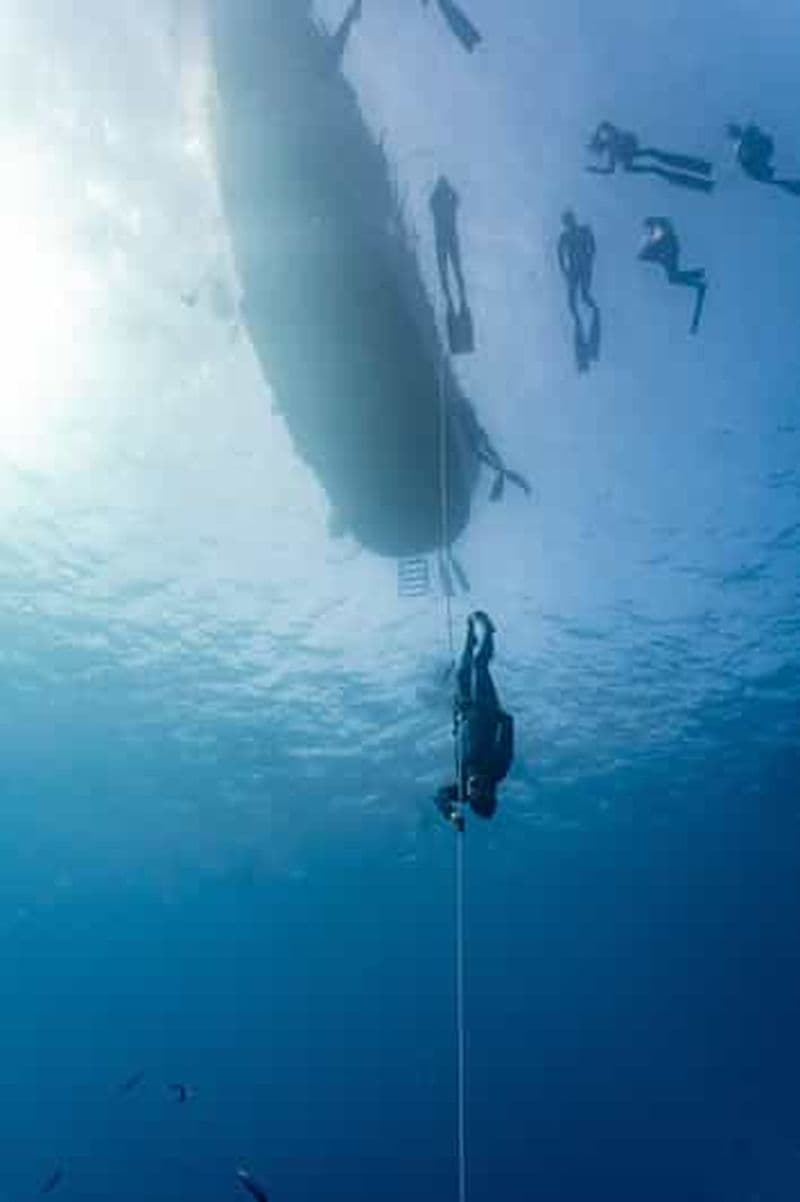 Las Palmas : Cours sur l'apnée de survie