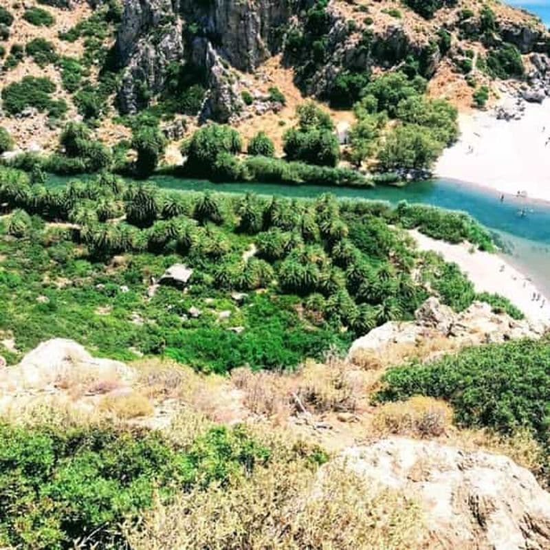 Depuis la Crète : excursion aux gorges de Kourtaliotiko et à Preveli