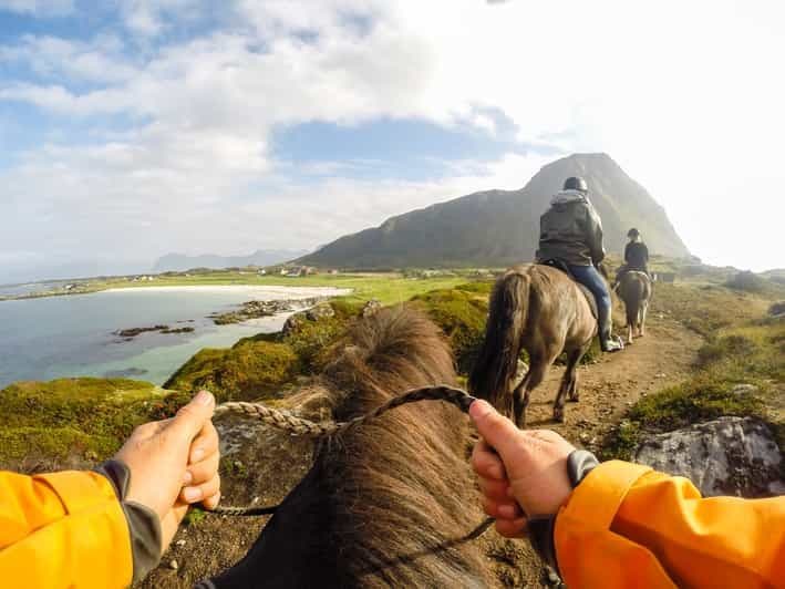 Lofoten : visite guidée à cheval à travers Hov et Hovsund