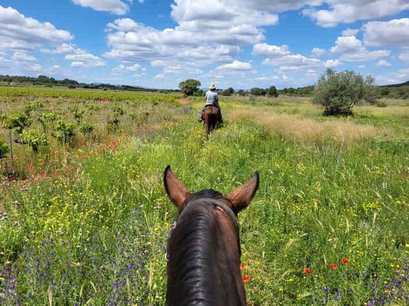 Découvrez l'intérieur des terres de Valence à cheval.