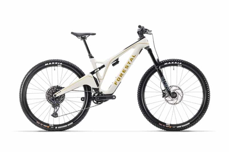 Location de vélos : Louez un vélo de montagne à pédalage assisté Forestal CYON.