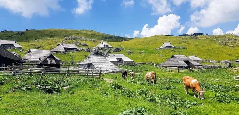 Au départ de Ljubljana : randonnée guidée à Velika Planina