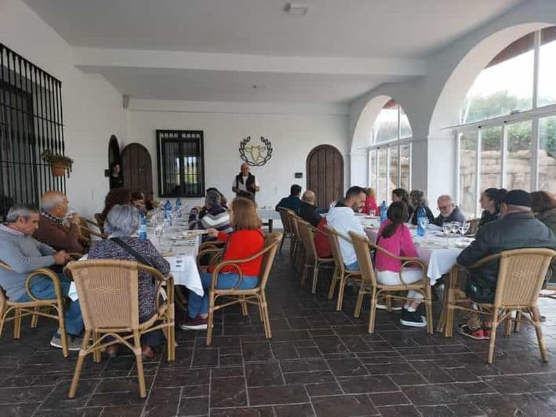Subbética : dégustation de fromages traditionnels à Los Balanchares
