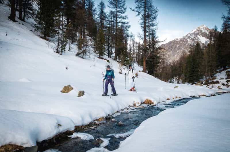 Vialattea : Randonnée en raquettes dans la forêt enneigée
