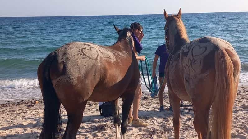 Cagliari : balade à cheval avec plongée au lever du soleil