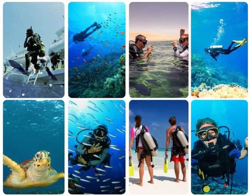 Découverte de l'océan au Qatar : plongée sous-marine guidée et pause rafraîchissante