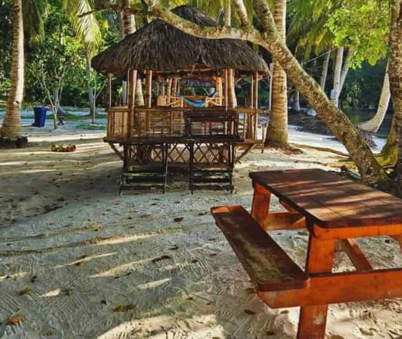 Nord du Qatar : visite guidée de la forêt de mangrove en kayak