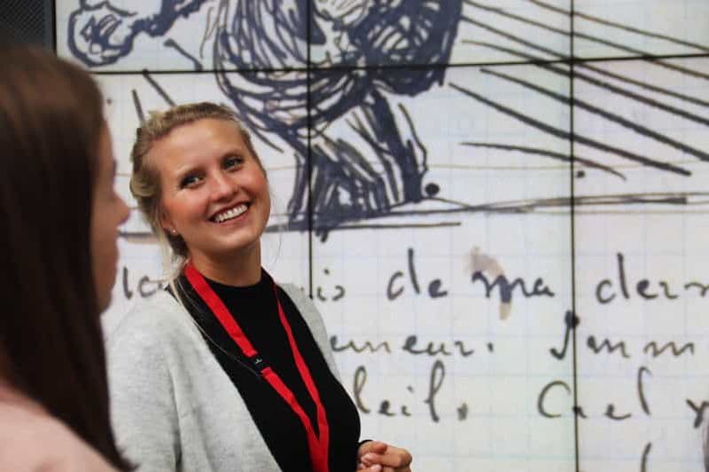Amsterdam : billet d'entrée au musée Van Gogh et visite guidée