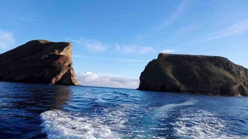 Île de Terceira : Excursion en bateau à Ilhéu das Cabras + plongée en apnée