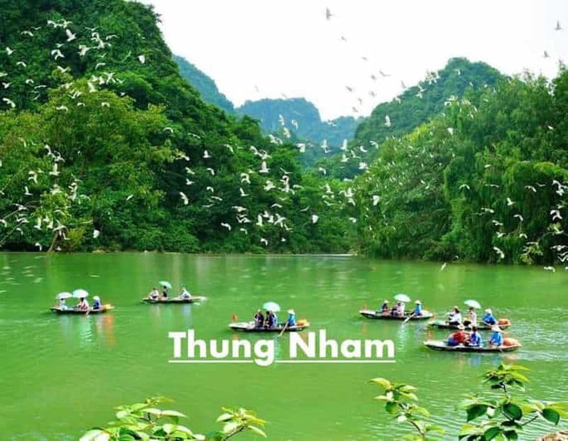 Ninh Binh : Excursion d'une journée à Trang An, la grotte de Mua, Hoa Lu et la vallée des oiseaux.