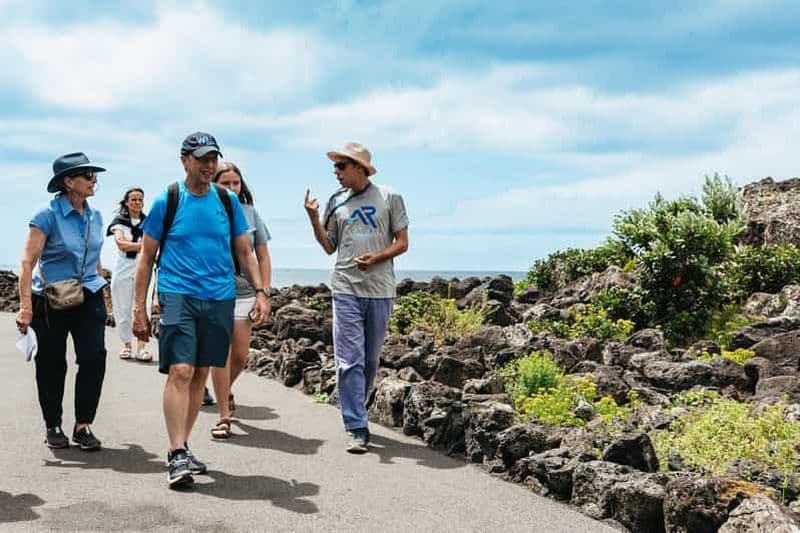 São Miguel Ouest : Visite d'une jounée en van avec déjeuner