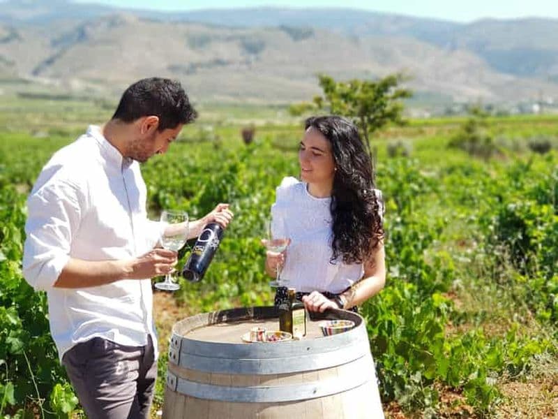 Almería : Visite et dégustation de vins dans une cave biologique