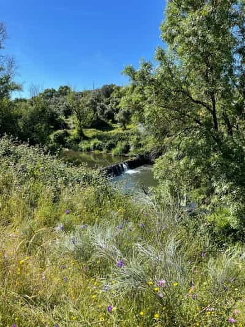 Montemor-o-Novo : Randonnée guidée avec déjeuner