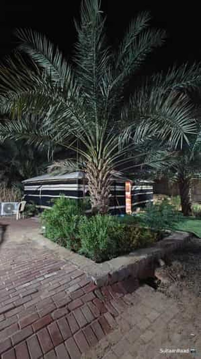 Site de visite des chevaux de Médine