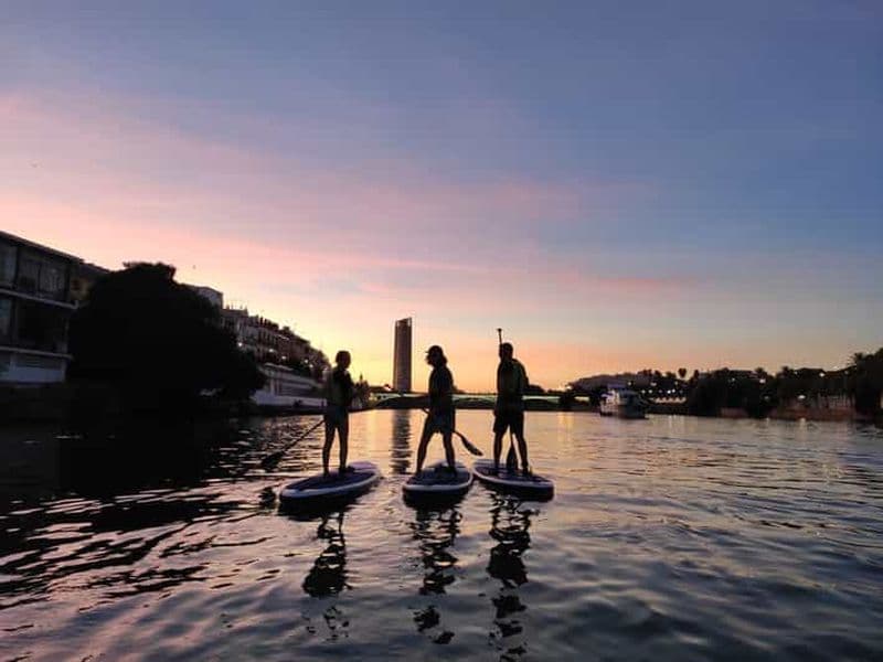 Séville : Excursion en paddle board au coucher du soleil et en soirée