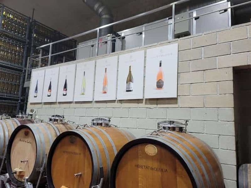 Alicante : visite d'un domaine viticole, dégustation de vin et ancien château