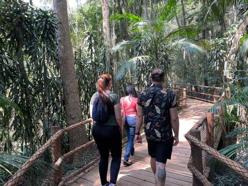 São Paulo : visite du jardin botanique avec un biologiste