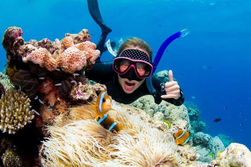 Billet Cairns : excursion de plongée et snorkeling sur le récif