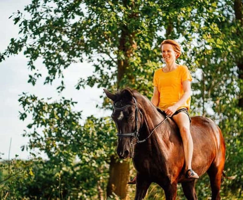 Randonnée à cheval avec transferts à l'hôtel