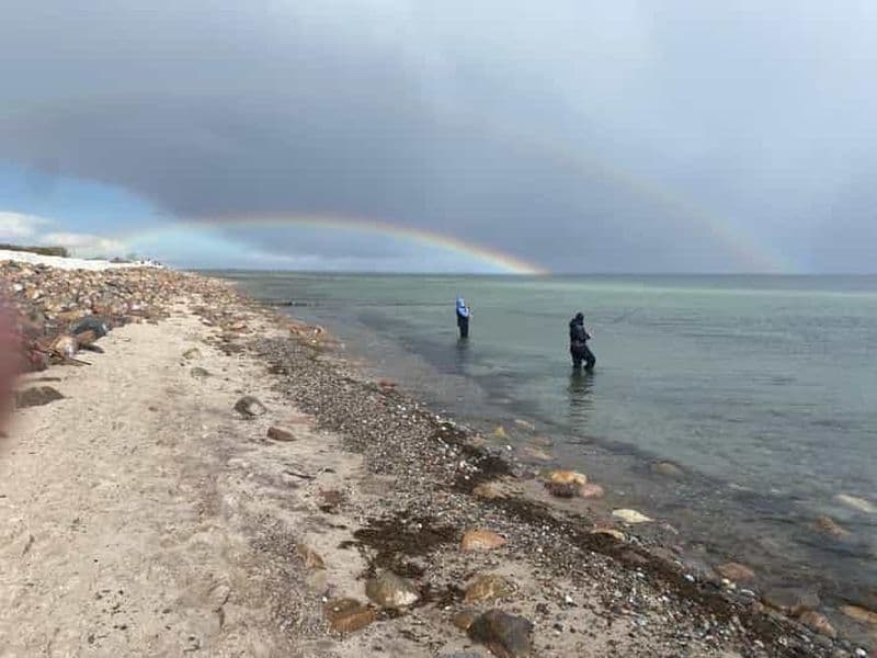 Fehmarn Heiligenhafen : Tour de pêche Pêche en mer avec un petit groupe