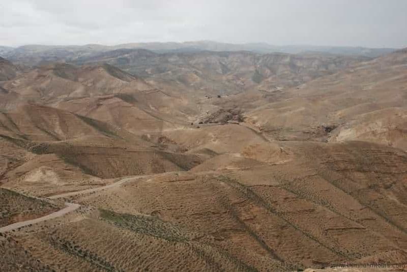 Au départ de Tel Aviv : Visite de la Mer Morte et safari dans le désert