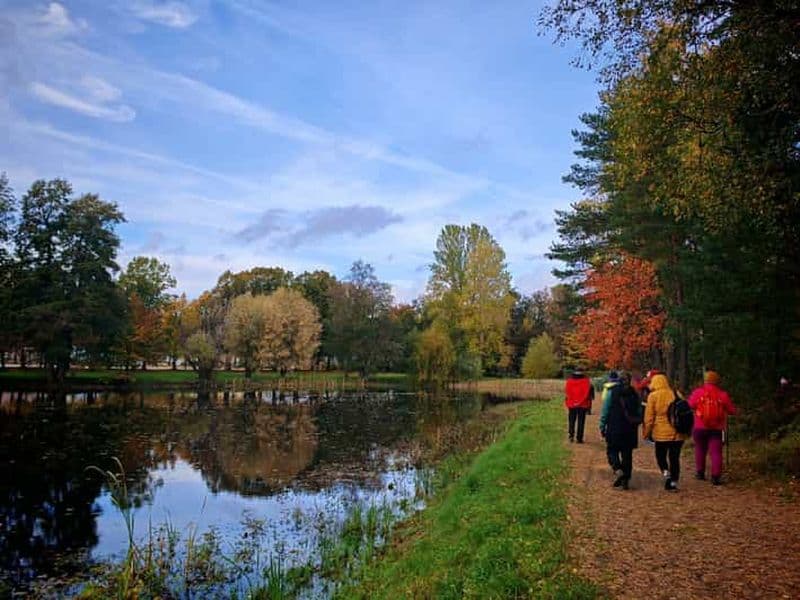 Visite privée de l'esprit de la forêt à Tampere