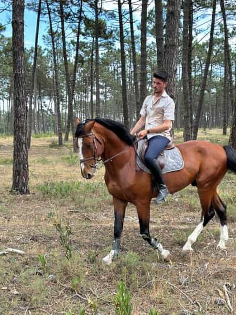 Aveiro : Expérience d'équitation avec instructeur