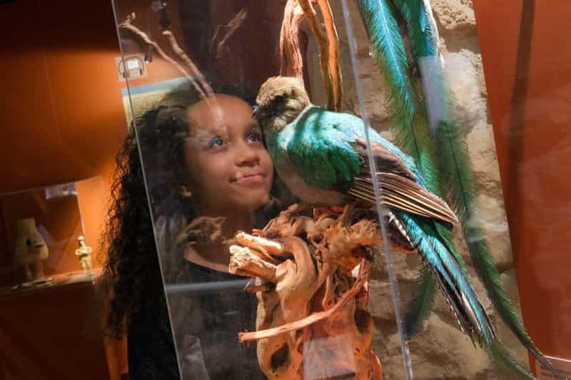 Paris : Billet d'entrée au Musée du Chocolat