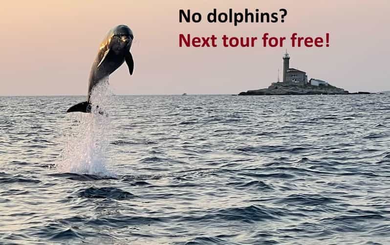 Rovinj : Excursion en hors-bord au coucher du soleil pour observer les dauphins avec boissons