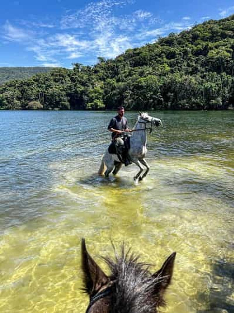 Florianópolis : balade à cheval cinématographique dans un paysage unique