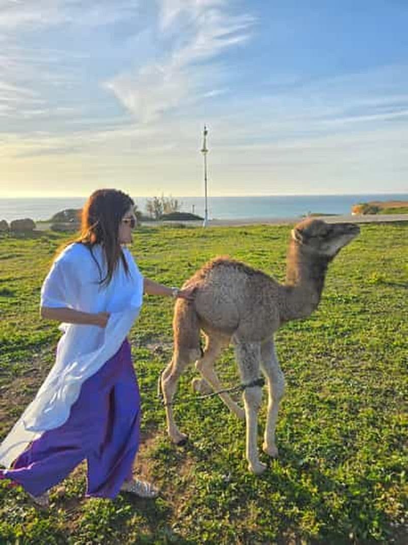 Billet Explorez Tanger : Balade à dos de chameau, grotte et Cap Spartel