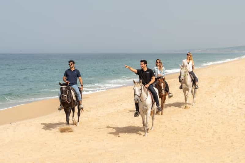 Depuis Lisbonne : Comporta et Setúbal avec équitation
