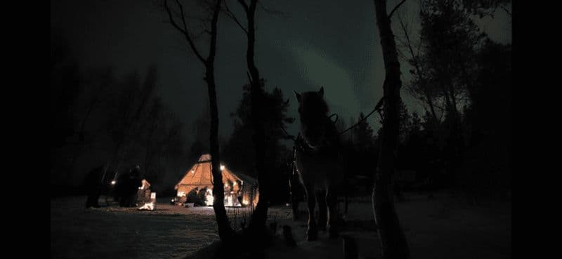 Équitation et repas