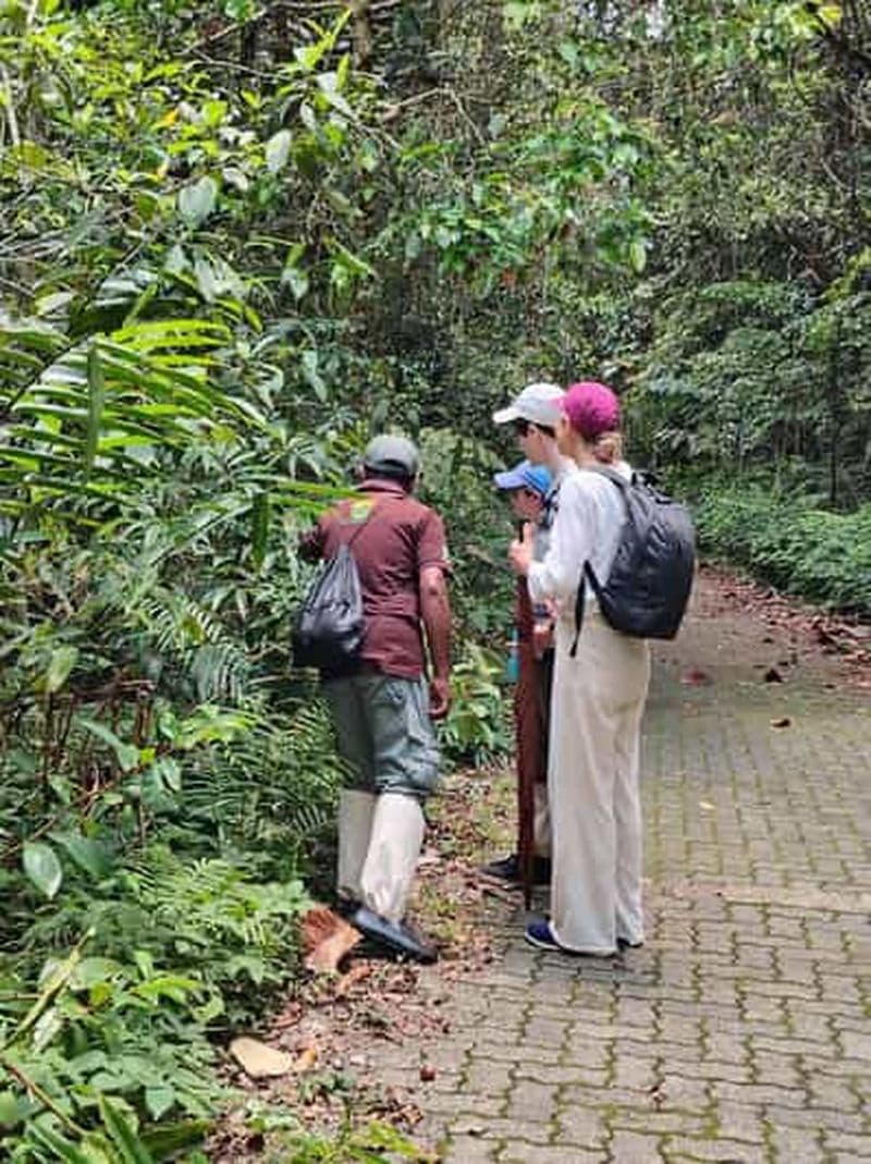 Depuis Colombo/Kalutara : randonnée écologique guidée d'une journée à Sinharaja