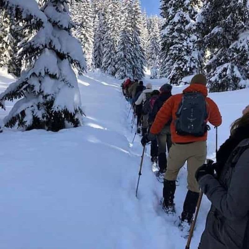 Cracovie : randonnée guidée dans les Tatras avec prise en charge à l'hôtel