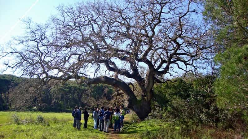 Lisbonne : Randonnée dans le parc naturel d'Arrábida