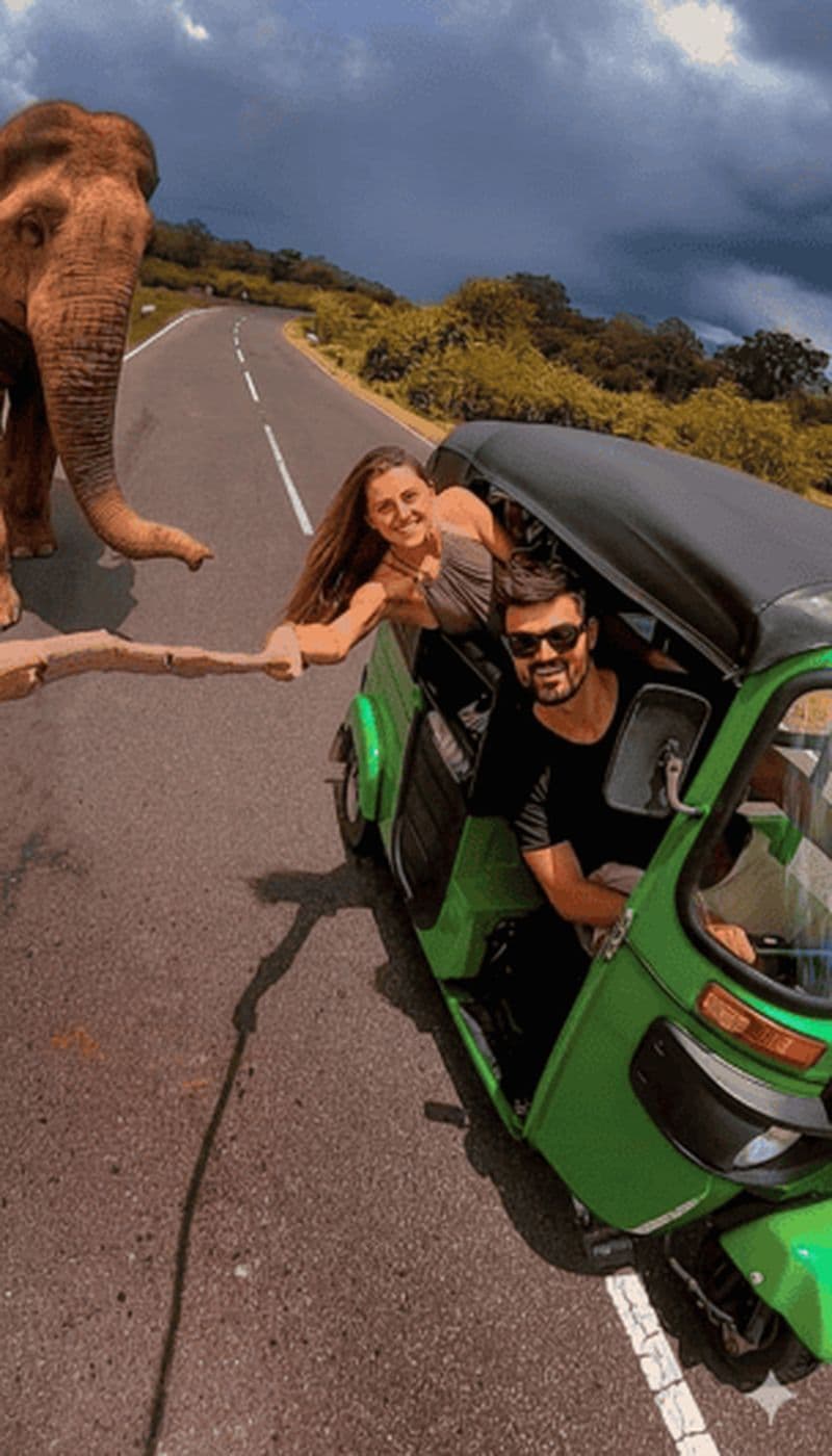 Jaipur : visite privée d'une journée en tuk-tuk