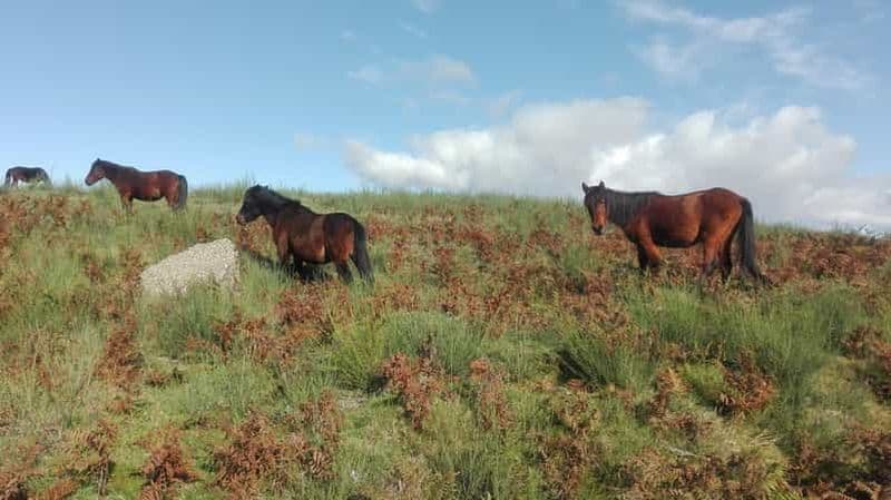 Gerês : Visite en 4x4 de la Serra da Cabreira, avec cascades et villages